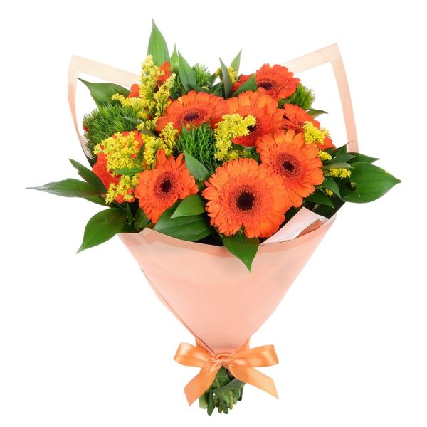 Turuncu Gerbera