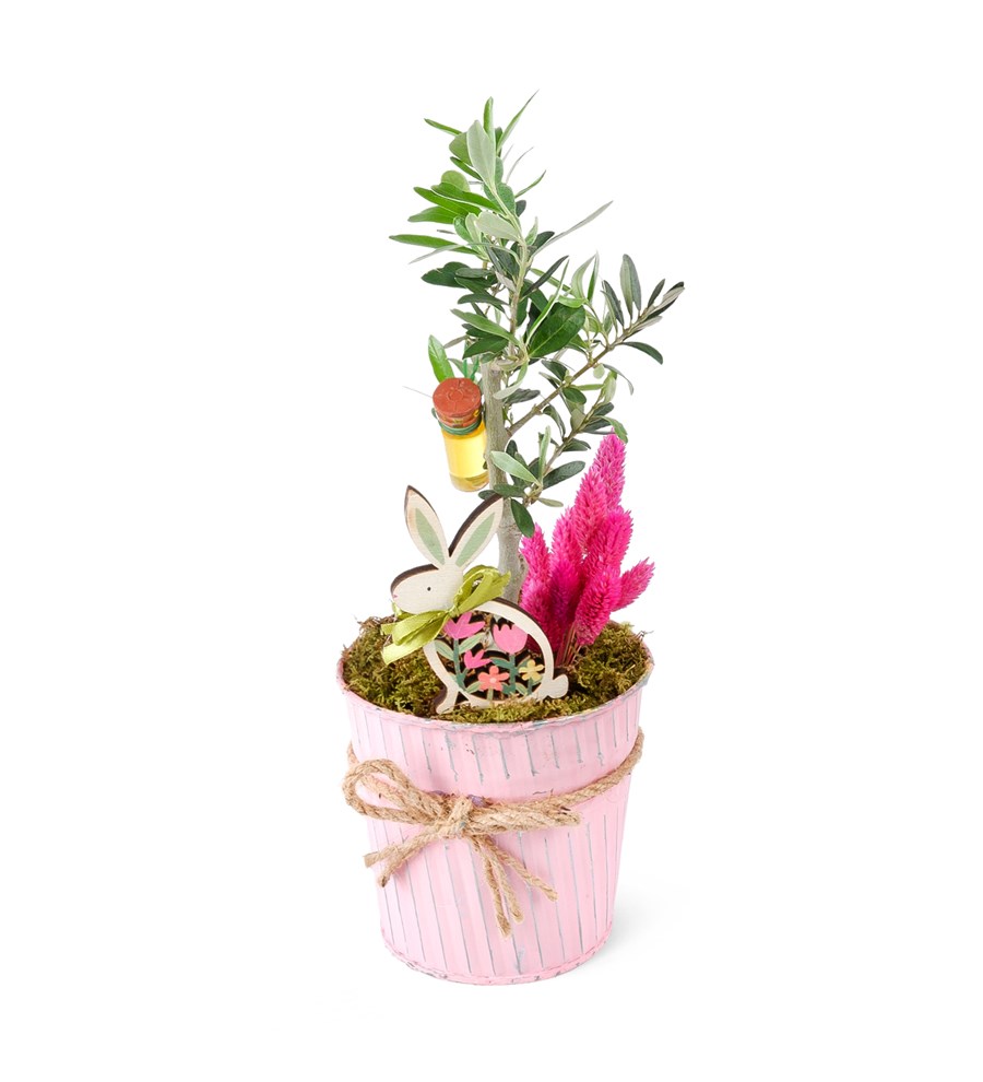 Pembe Metal Saksıda Zeytin Aranjmanı
